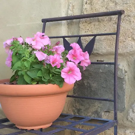 Casolare Di Remignoli