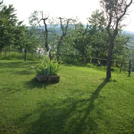 Casolare Di Remignoli Lantställe San Gimignano